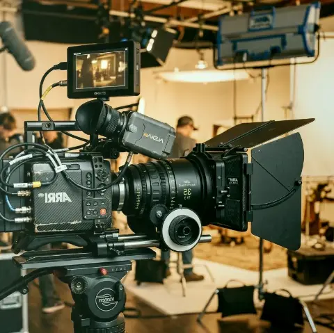 Vogel Nebel – Videodreh mit modernem Equipment